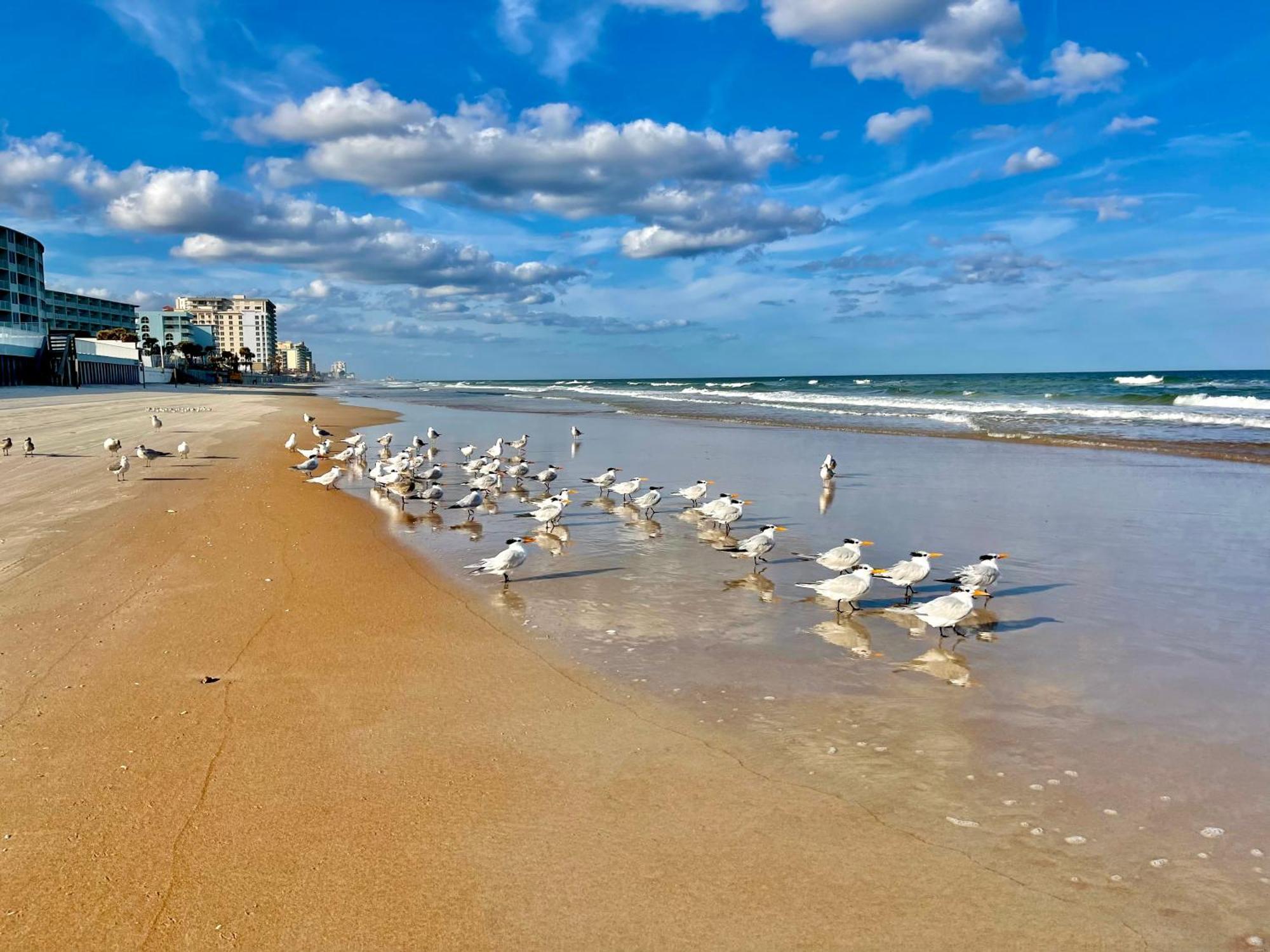 Sunset Studio Daytona Beachfront Esterno foto